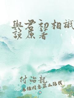 与君初相识的小说原著
