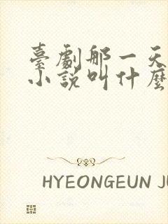 台剧那一天原著小说叫什么