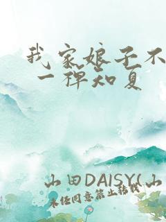 我家娘子不对劲 一禅知夏