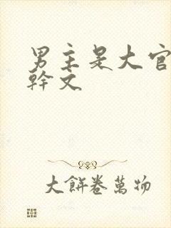 男主是大官的高干文