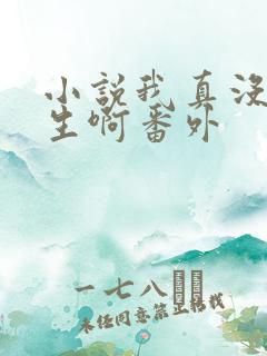 小说我真没想重生啊番外