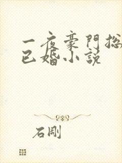 一夜豪门总裁我已婚小说