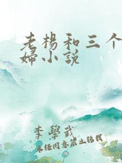 老杨和三个儿媳妇小说