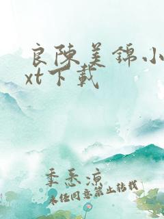 良陈美锦小说txt下载