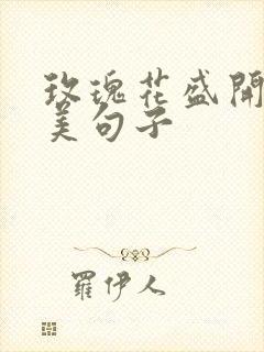 玫瑰花盛开的唯美句子