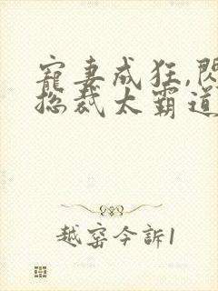 宠妻成狂,闪婚总裁太霸道的小说