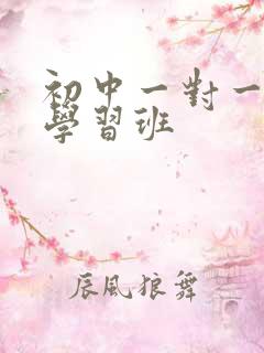 初中一对一辅导学习班