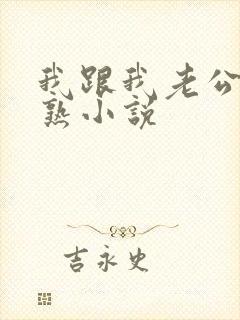 我跟我老公不太熟小说