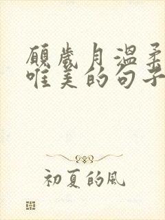 愿岁月温柔以待唯美的句子