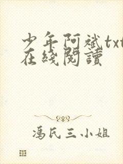 少年阿斌txt在线阅读
