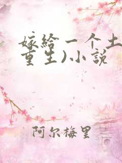 嫁给一个土匪(重生)小说