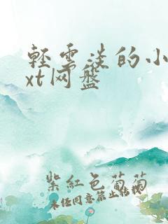 轻云淡的小说txt网盘