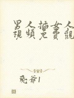 男人插女人下面视频免费观看