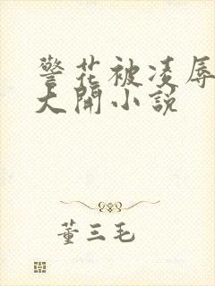 警花被凌辱双腿大开小说