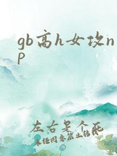 gb高h女攻np