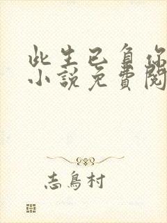 此生已负你情深小说免费阅读