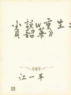 小说w重生之不负韶华》