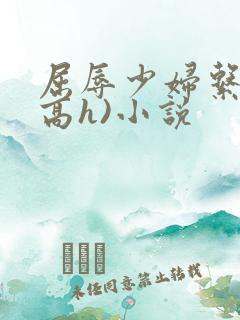 屈辱少妇系列(高h)小说