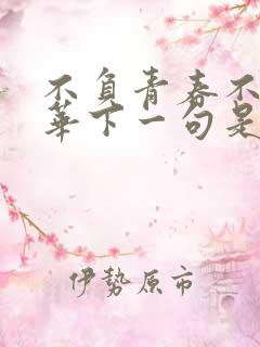 不负青春不负韶华下一句是什么