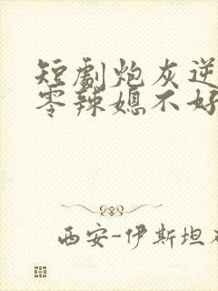 短剧炮灰逆袭七零辣媳不好惹