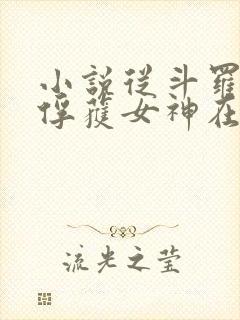 小说从斗罗开始俘获女神在线阅读