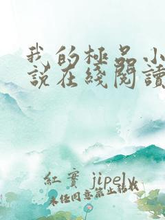 我的极品小姨小说在线阅读全文免费