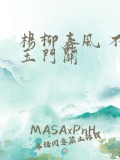 杨柳春风 不度玉门关