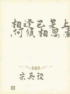 相逢已是上上签,何须相思煮余年是谁写的