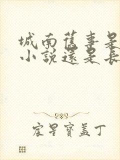 城南旧事是短篇小说还是长篇小说