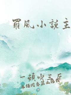 罗风小说主角
