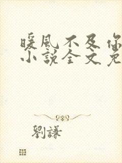 暖风不及你情深小说全文免费阅读