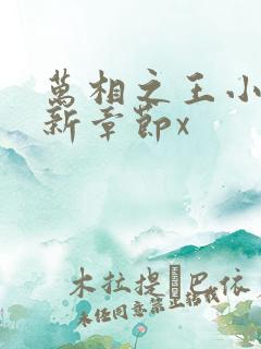 万相之王小说最新章节x