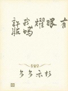 许我耀眼有小说版吗