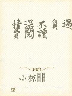 情深不负遇见免费阅读