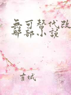 无可替代改编自哪部小说