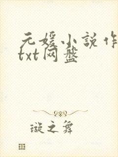 元媛小说作品集txt网盘