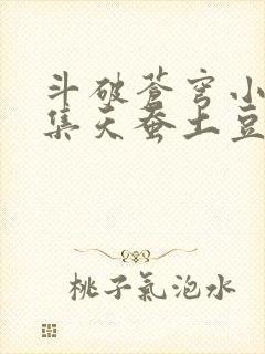 斗破苍穹小说续集天蚕土豆