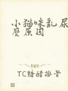 小猫咪乱尿是什么原因