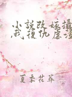 小说改嫁摄政王,我复仇虐渣妹在线阅读