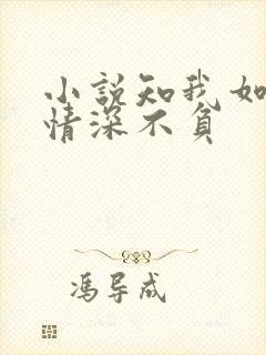 小说知我如你,情深不负