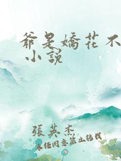 爷是娇花不种田 小说