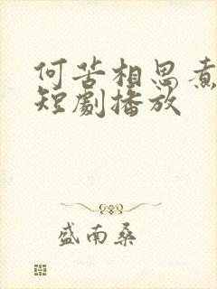 何苦相思煮余年短剧播放