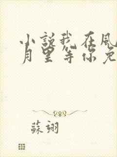 小说我在风花雪月里等你免费阅读