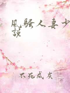 风骚人妻少妇小说