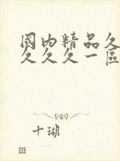 国内精品久久久久久久一区二区三区