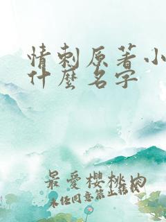 情刺原著小说叫什么名字