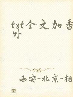 txt全文加番外