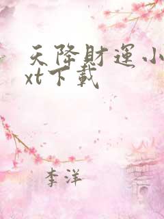 天降财运小说txt下载