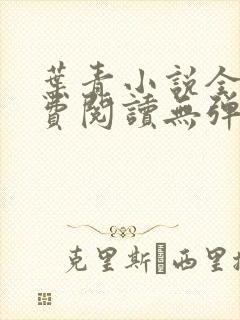 叶青小说全文免费阅读无弹窗