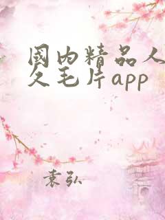 国内精品人妻久久毛片app